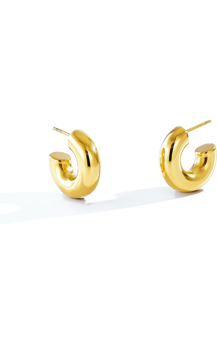 Golden Hoop Earnings